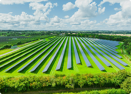 The Future of Sustainability in Sri Lankan Industries