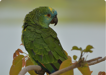 Company 11 - Slide 3